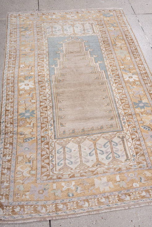 Antique Anatol Area Rug (3' x 6')
